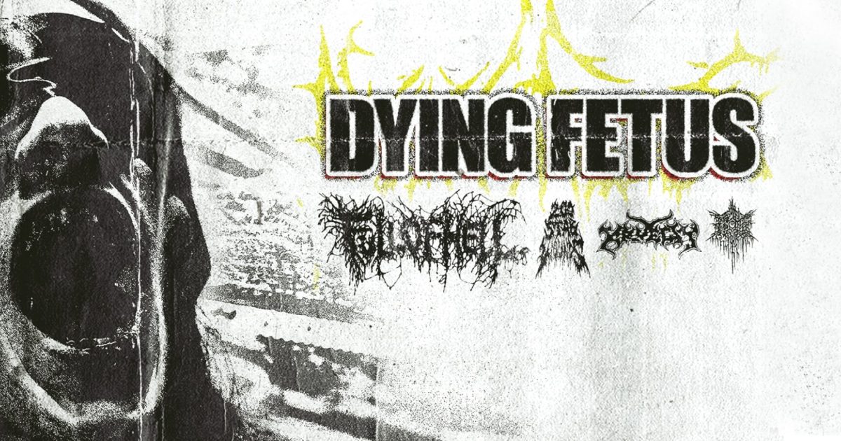 Dying Fetus アルバム3枚セット 81uTO-vLeZL._UF1000,1000_QL80_.jpg