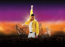 GESTEV sw Queen IKM 2026 800x580