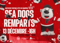 RQ Match Des Toutous13déc 800x580