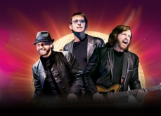 GESTEV sw Australian Bee Gees 2026 800x580