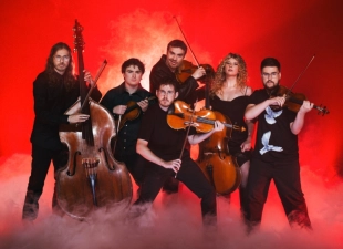 GESTEV sw Wooden Shapes CCM2026 800x580