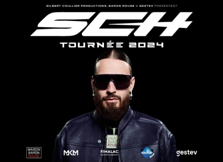 GESTEV sw SCH CV2024 800x580