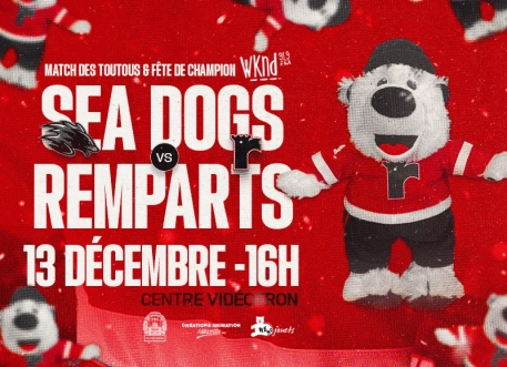 RQ Match Des Toutous13déc 800x580