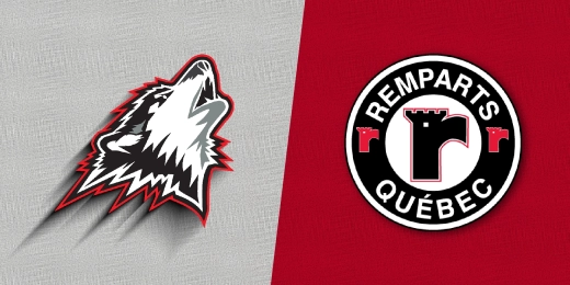 RQ HUSKIESXREMPARTS 1820 X910
