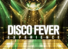 GESTEV sw Disco Fever Experience 2027 800x580