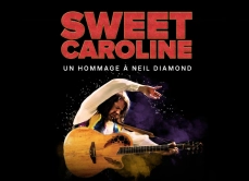 GESTEV sw Sweet Caroline 2027 800 X580