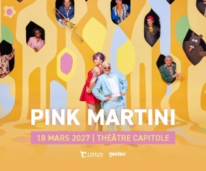 Pink Martini 2027 Call To Action 300x250 FR